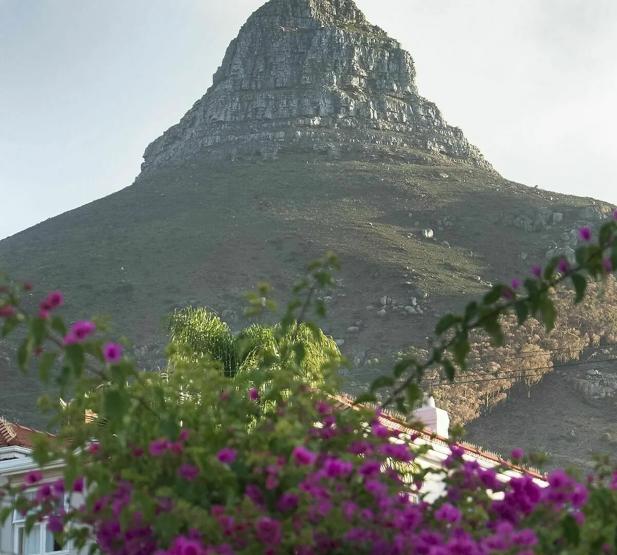 Rhonda'S Manor Boutique Guest House Cape Town 4*,  Güney Afrika